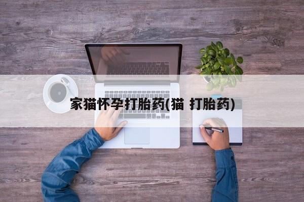 流产药联系微信家猫怀孕打胎药(猫 打胎药)