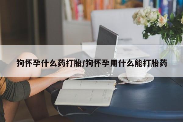 流产药联系微信狗怀孕什么药打胎/狗怀孕用什么能打胎药